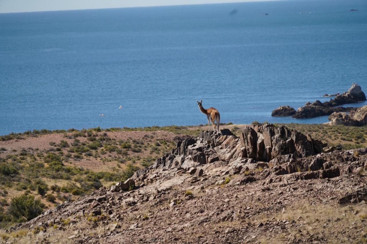 Estancia Tatay Trelew Buitenkant foto