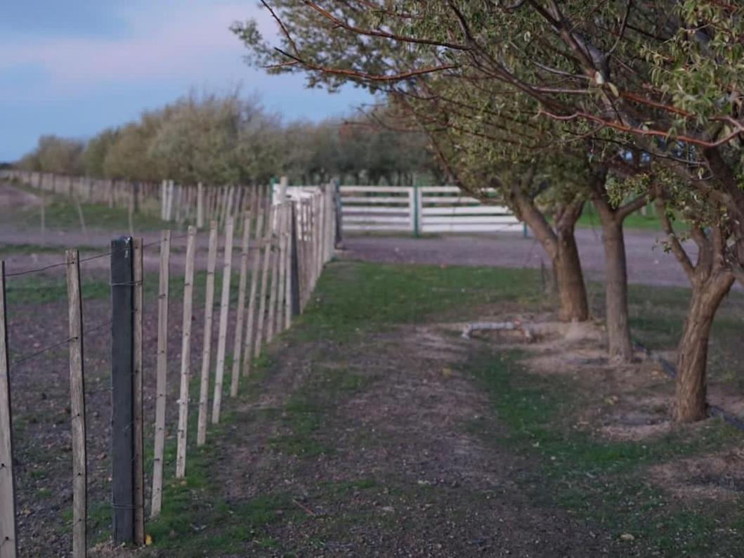 Estancia Tatay Trelew Buitenkant foto