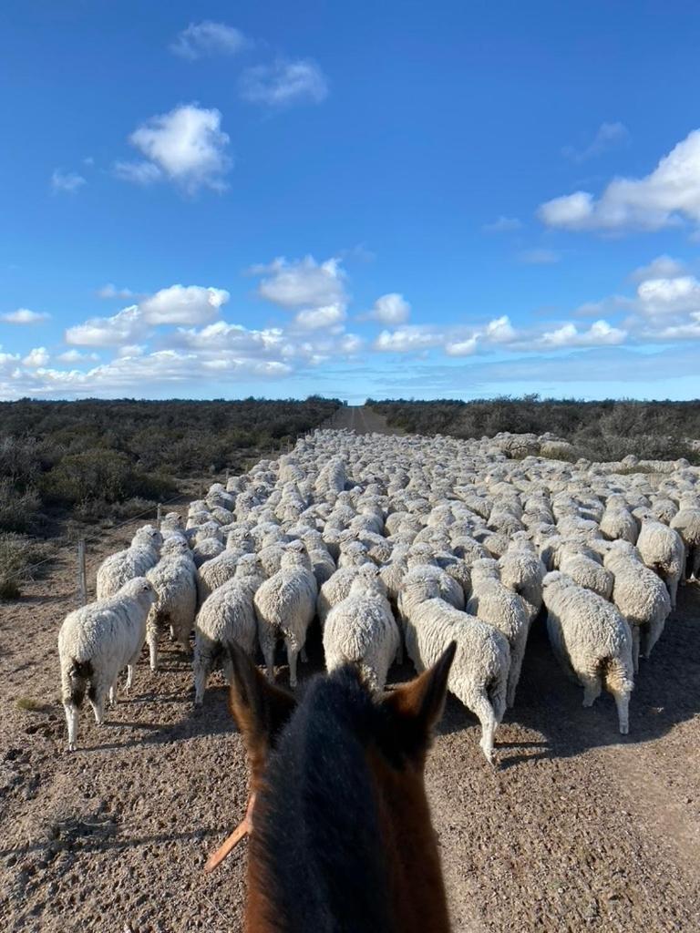 Estancia Tatay Trelew Buitenkant foto